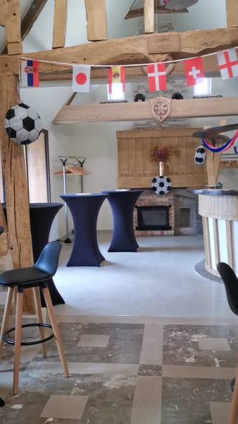 soirée coupe du monde de football ou rugby