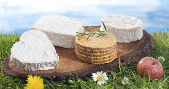 Les fromages de Normandie