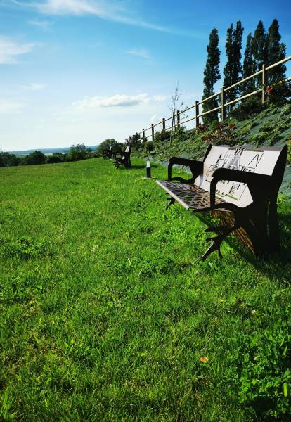 Célébrer une cérémonie laïque avec un vin d'honneur en extérieur jusqu'à 300 personnes dans un domaine proche du Havre